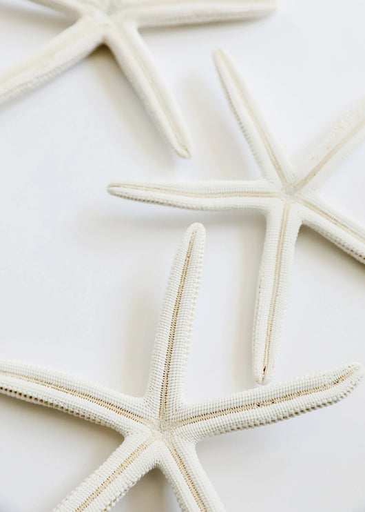 Starfish