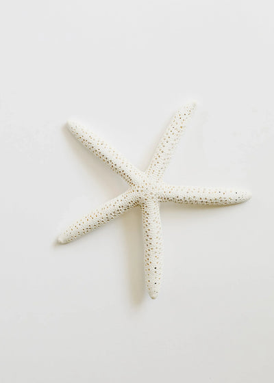 Starfish