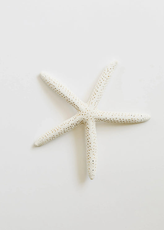 Starfish