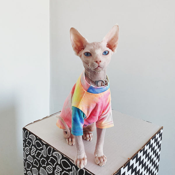 Ropa para Gatos sin Pelo Tie-Dye Arcoíris