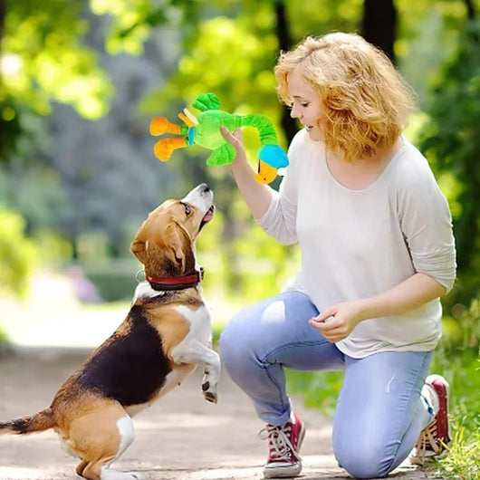 Juguete Interactivo para Perros con Sonido de Pollo - Resistente y Masticable - Image 7