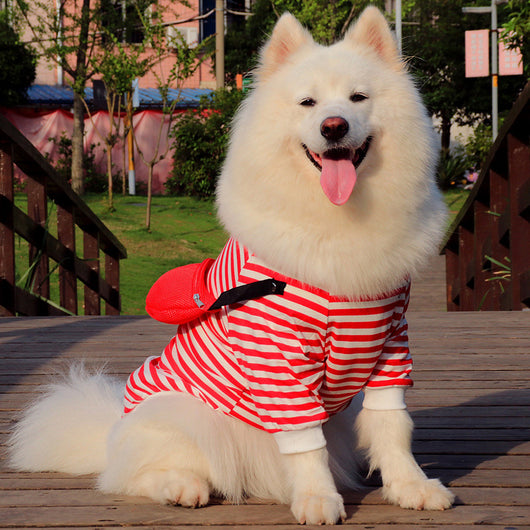 Chaleco Fino a Rayas para Perros Medianos y Grandes - Otoño - Image 5