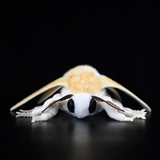 Peluche de Polilla Gusano de Seda - Muñeco Coleccionable de la Serie Insectos - Image 3