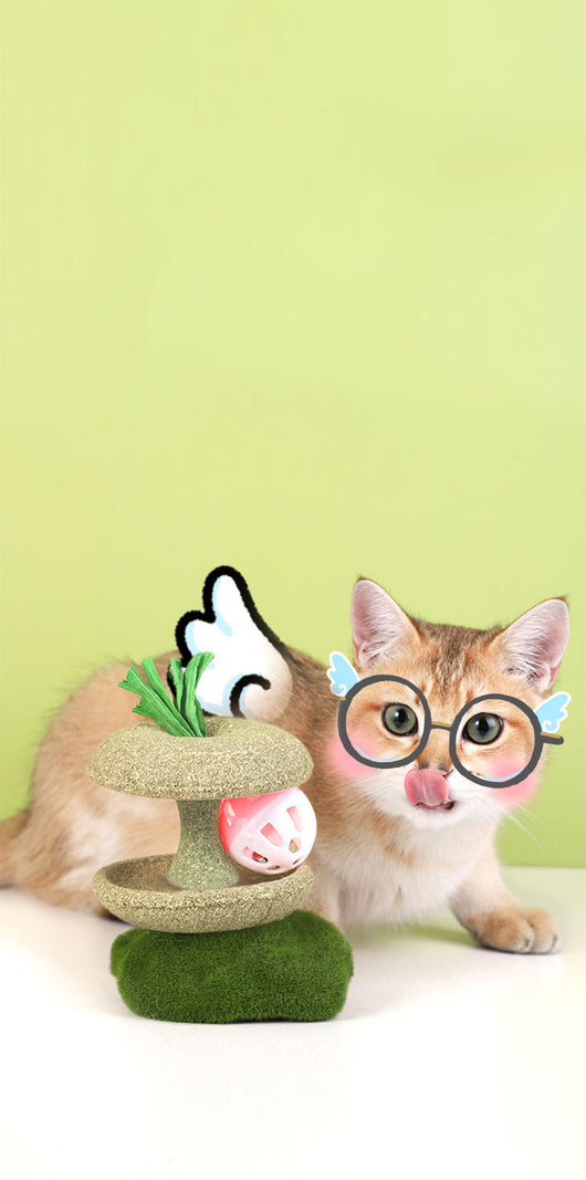 Juguete de Hierba Gatera Comestible con Campana - Juego Interactivo para Gatos - Image 10