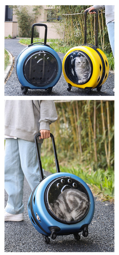 Bolsa Transportadora Transparente Reforzada para Mascotas - Gatos y Perros - Image 22