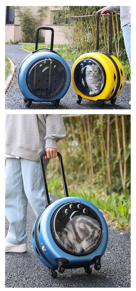 Bolsa Transportadora Transparente Reforzada para Mascotas - Gatos y Perros - Image 22