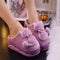 Gato Morado 36or37