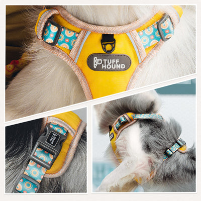 Arnés de Pecho con Correa para Mascotas - Conjunto Completo - Image 2