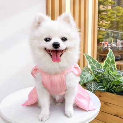 Vestido de Boda para Mascotas - Ropa Elegante para Perros y Gatos - Image 70