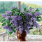 Kit de Pintura por Números - Flores de Lavanda en Florero