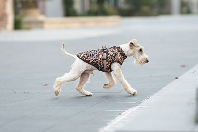 Arnés de Tracción para Perros con Cobertura de Pecho y Espalda - Image 7