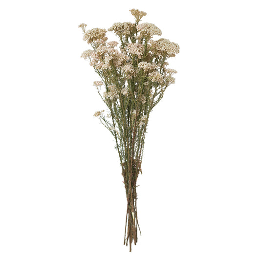 Arreglo de Flores Secas para Sala de Estar - Image 12