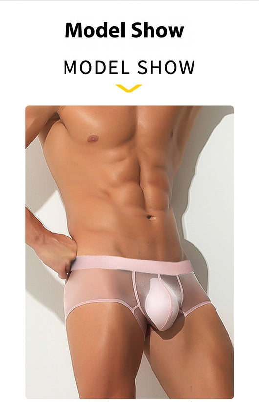 Calzoncillos Hombre Ice Silk Sin Costuras Ultrafinos Cintura Baja - Image 17