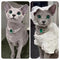 Estilo 1 XS