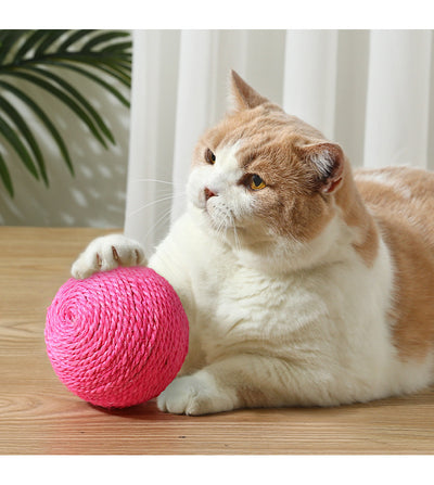Juguete Interactivo para Gatos - Pelota Mordedora y Aliviador de Estrés - Image 11