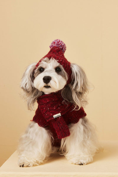 Gorro y Bufanda de Lana para Mascotas - Conjunto Abrigador para Perros - Image 6