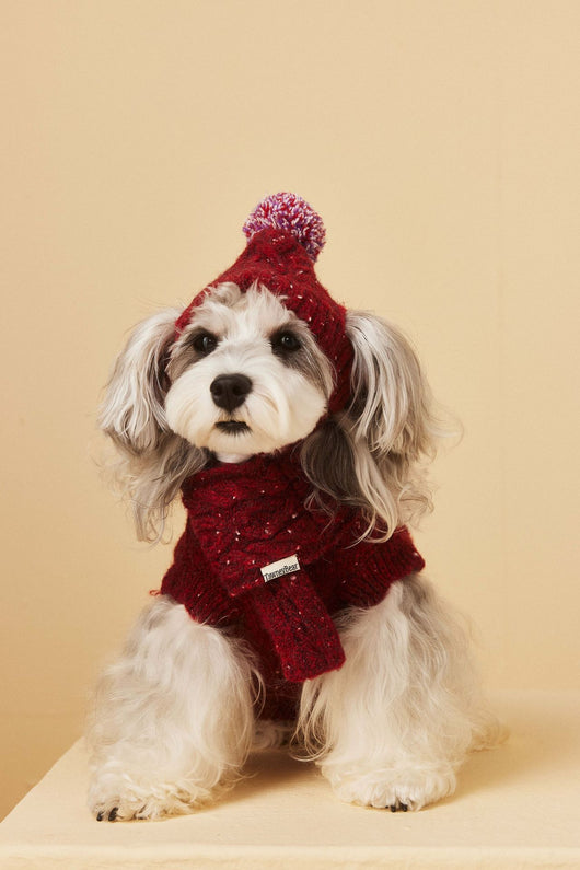 Gorro y Bufanda de Lana para Mascotas - Conjunto Abrigador para Perros - Image 6