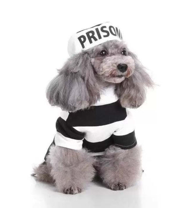 Suéter Navideño Tejido para Mascotas - Diseño Clásico Abuelo - Image 2