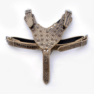 Arnés de Pecho para Perros Grandes Estilo Punk con Remaches - Resistente y Seguro - Image 8