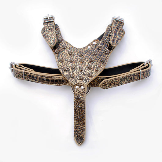 Arnés de Pecho para Perros Grandes Estilo Punk con Remaches - Resistente y Seguro - Image 8