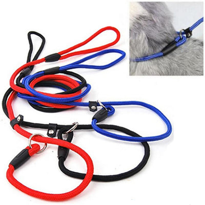 Correa de Nylon para Perro - Resistente y Segura