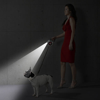 Correa Retráctil Automática para Perros y Gatos 5m - Cuerda de Tracción Extensible - Image 3