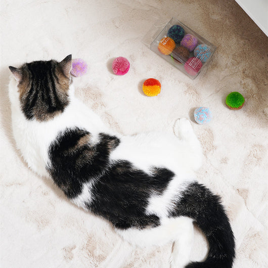 Two fluffy cat pom-pom toys, one pink and blue, one pink, in a clear box with a small bottle of catnip hydrosol. - Image 4