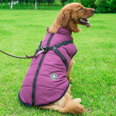 Abrigo Reflectante Impermeable para Perros Grandes - Chaleco Térmico Invierno - Image 5