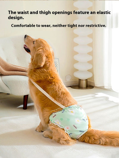 Pantaletas Menstruales Absorbentes Big Dog - Protección Cómoda Todo el Día - Image 17