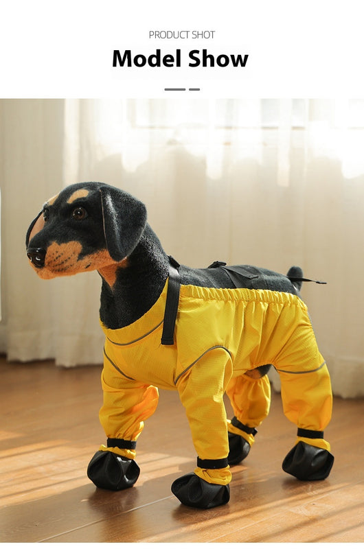Protectores de Patas Impermeables para Perros - Image 11