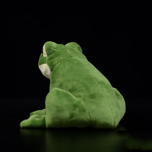 Figura de Rana Realista - Muñeco Animal para Coleccionar y Regalar - Image 2