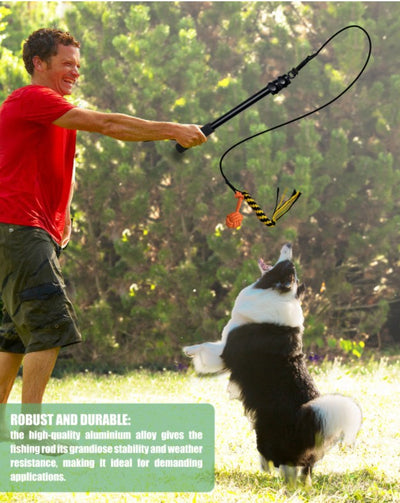 Vara Extensible de Adiestramiento para Perros con Diseño Divertido - Image 13