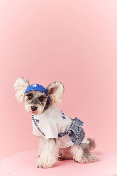 Ropa de Verano para Perros Pequeños - Teddy Schnauzer Bichón - Image 31
