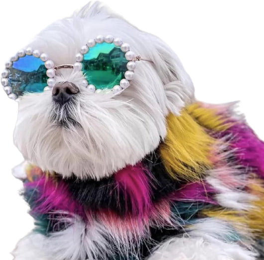 Gafas de Sol Pearl para Mascotas - Accesorios Divertidos y Elegantes para Disfraz de Fiesta - Image 6