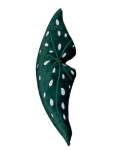 Almohada Lumbar Monstera Blanca - Cojín Decorativo para Sofá y Cama - Image 13