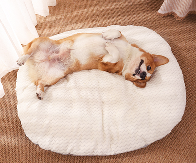 Colchoneta Ortopédica para Perros - Cama Cómoda Antideslizante - Image 3