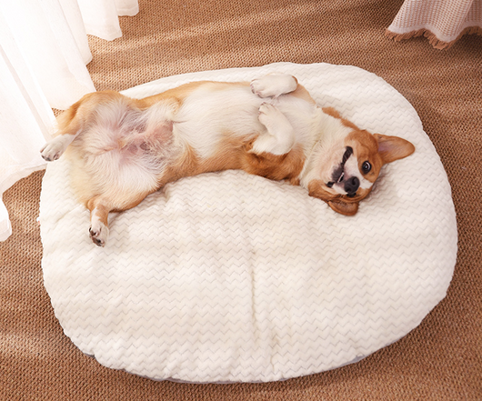 Colchoneta Ortopédica para Perros - Cama Cómoda Antideslizante - Image 3