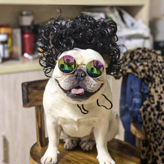 Pelucas y Accesorios de Moda para Mascotas - Disfraces y Tiara para Perros y Gatos - Image 10