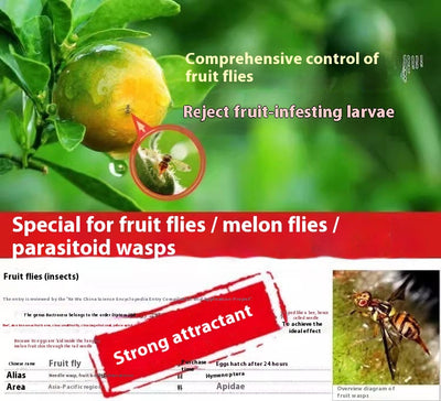 Bola Adhesiva Atrapamoscas de la Fruta Aroma Naranja - Image 12