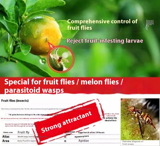 Bola Adhesiva Atrapamoscas de la Fruta Aroma Naranja - Image 12