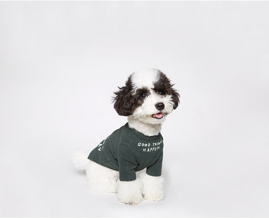 Playera para Mascotas con Estampado de Letras Wind - Diseño Simple y Cómodo - Image 7