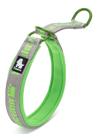 Collar Ajustable para Perro Truelove con Tela de Buceo Reflectante - Image 5