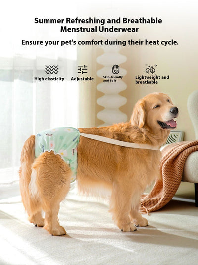 Pantaletas Menstruales Absorbentes Big Dog - Protección Cómoda Todo el Día - Image 12