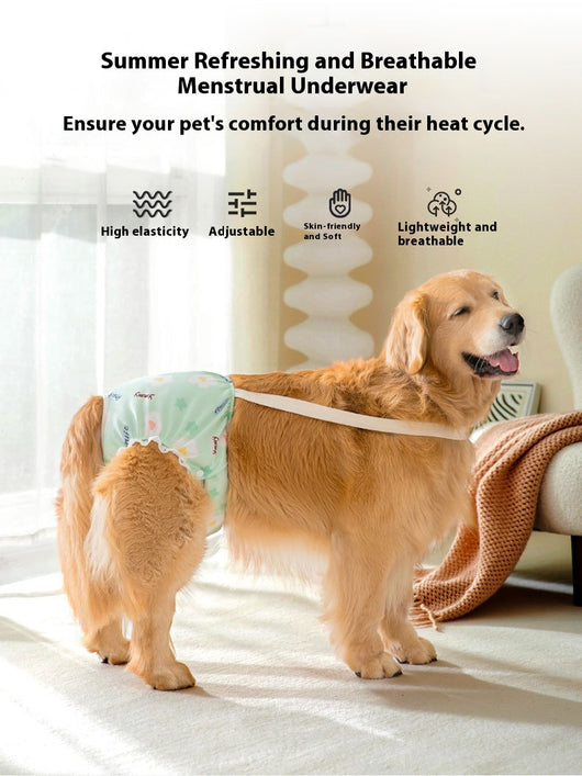 Pantaletas Menstruales Absorbentes Big Dog - Protección Cómoda Todo el Día - Image 12