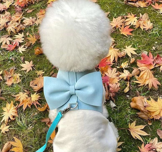 Arnés Pectoral para Mascotas con Correa de Cuerda Tejida y Moño Grande