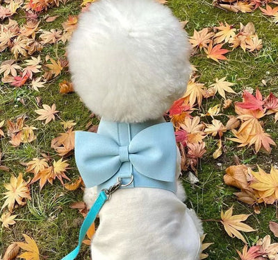 Arnés Pectoral para Mascotas con Correa de Cuerda Tejida y Moño Grande