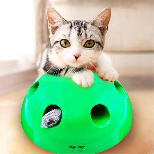Green Pop 'n Play interactive cat toy with motorized peek-a-boo mouse, packaging, and instructions. - Image 10
