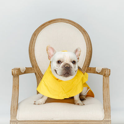 Impermeable Reflectante para Perros con Tiras de Seguridad - Image 4