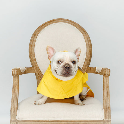 Impermeable Reflectante para Perros con Tiras de Seguridad - Image 4
