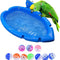 Bath Box 10 Piezas Ball